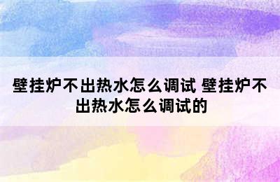 壁挂炉不出热水怎么调试 壁挂炉不出热水怎么调试的